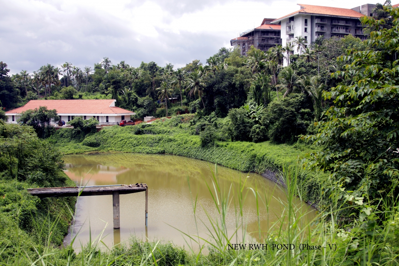 New RWH Pond (Phase V)