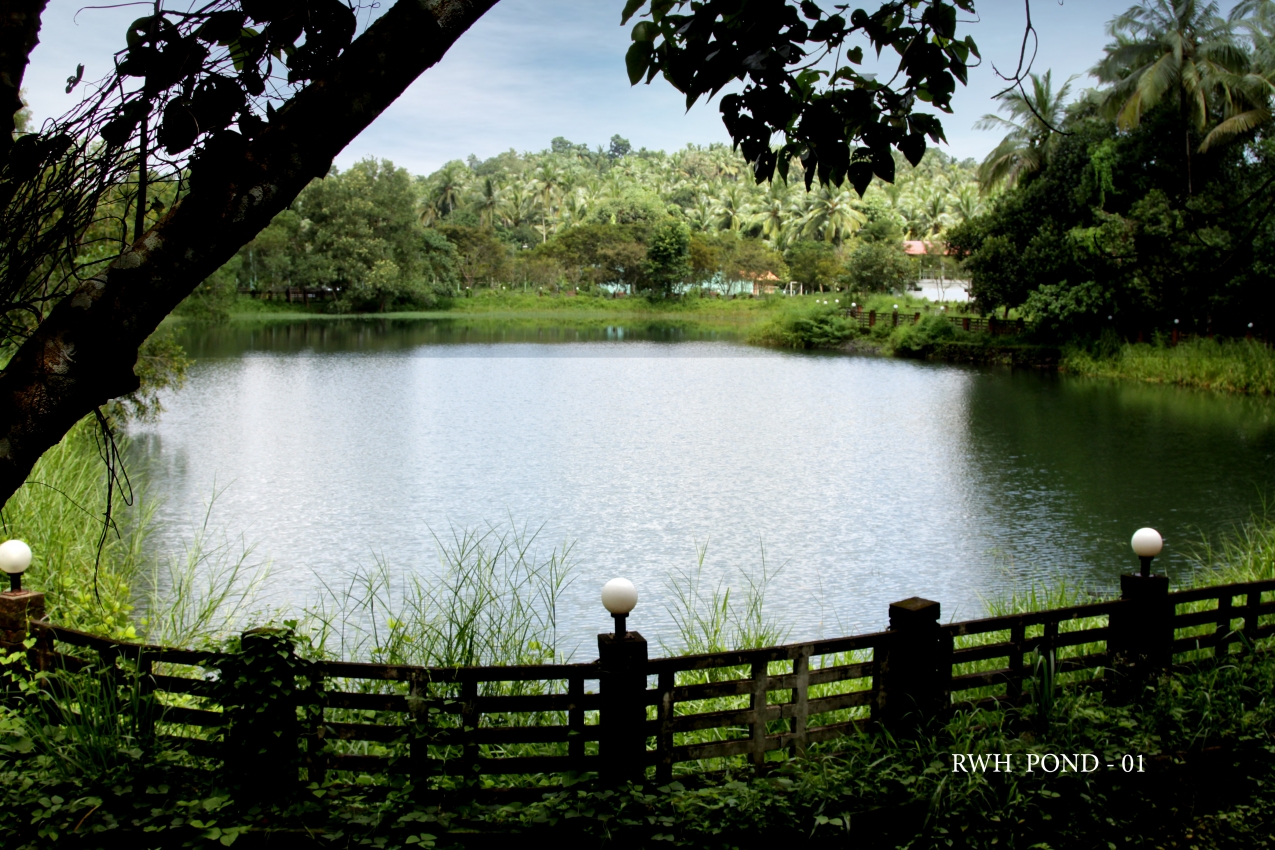 RWH Pond - 01