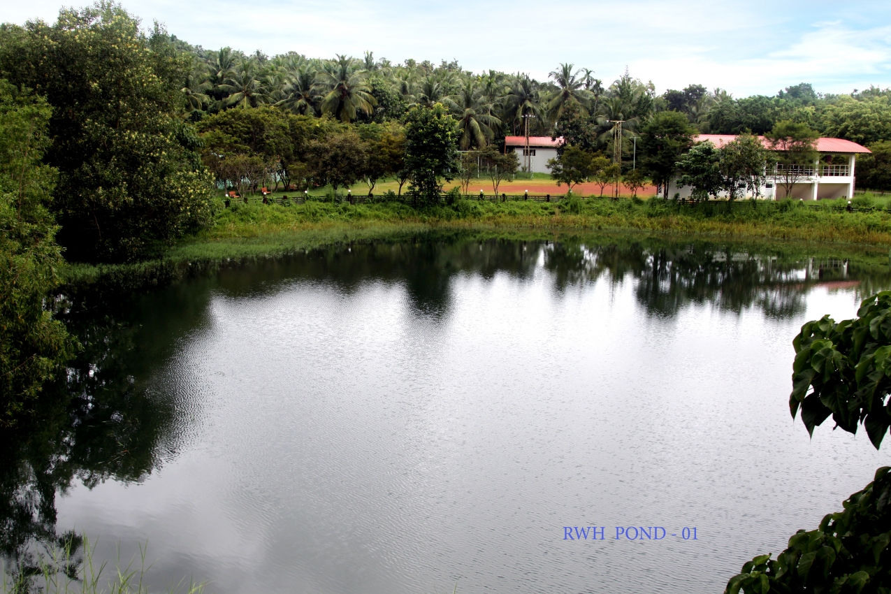 RWH Pond  01